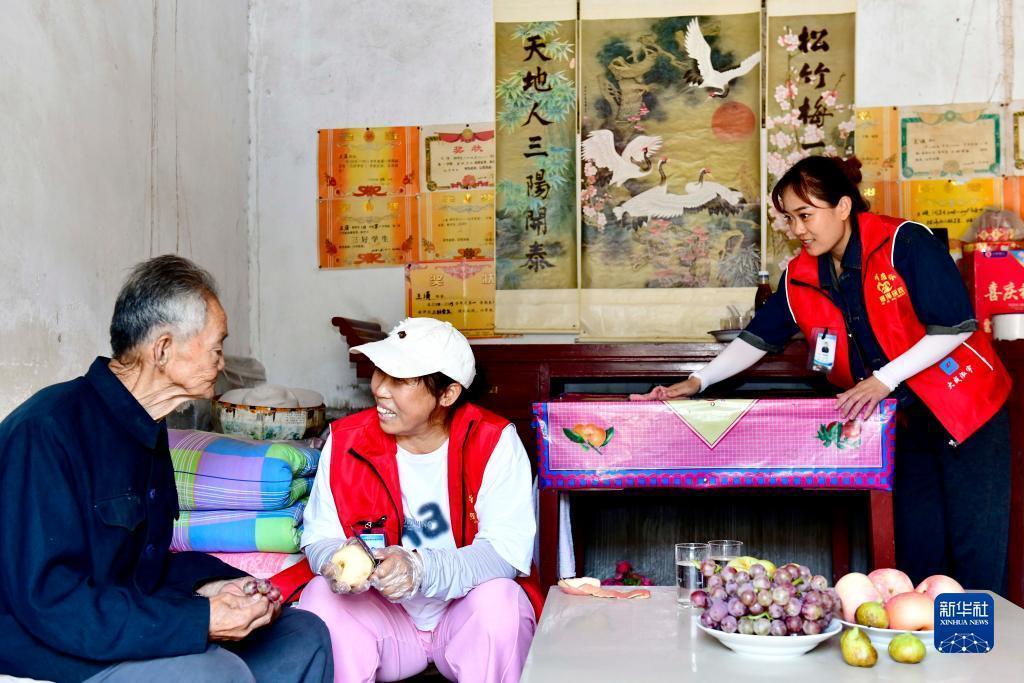 最新葡萄官网